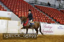 15BUCK_05899 proof