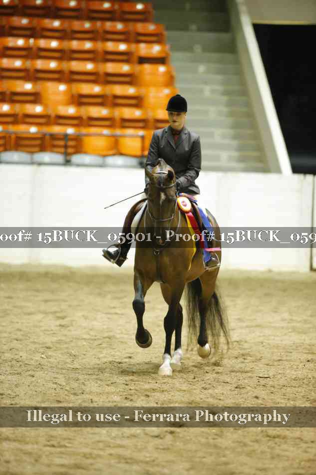 Proof 15BUCK_05901