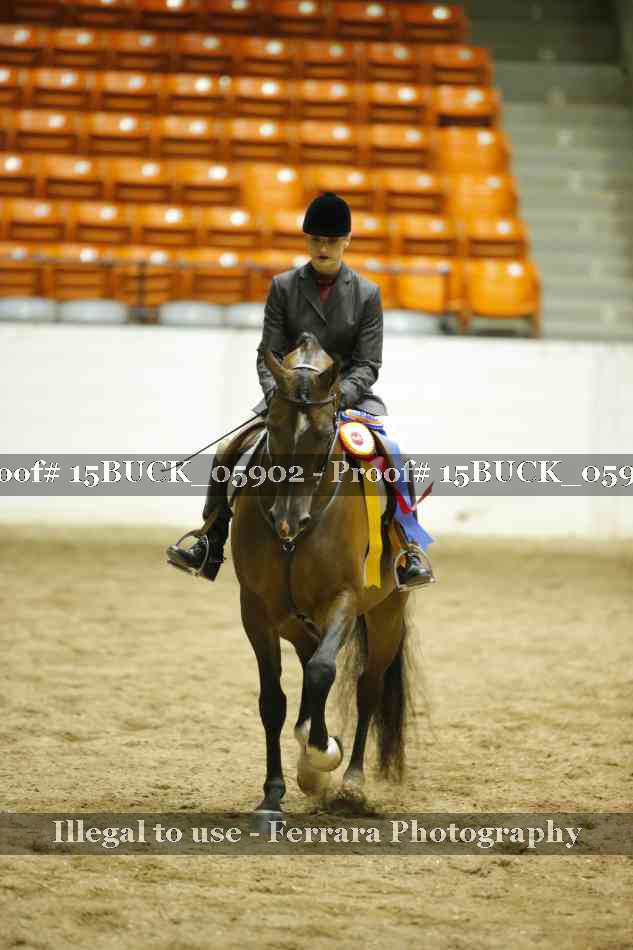 Proof 15BUCK_05902