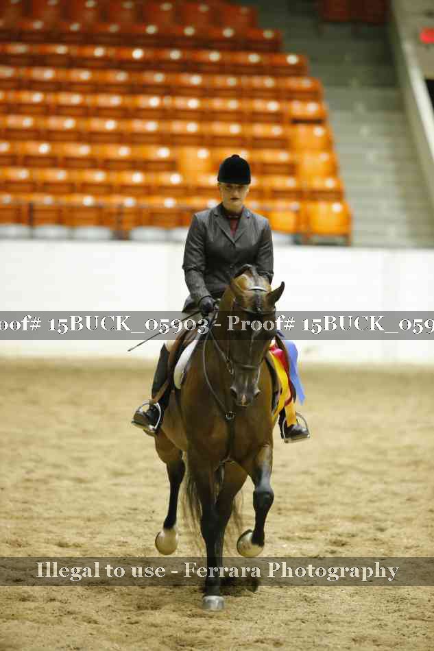 Proof 15BUCK_05903