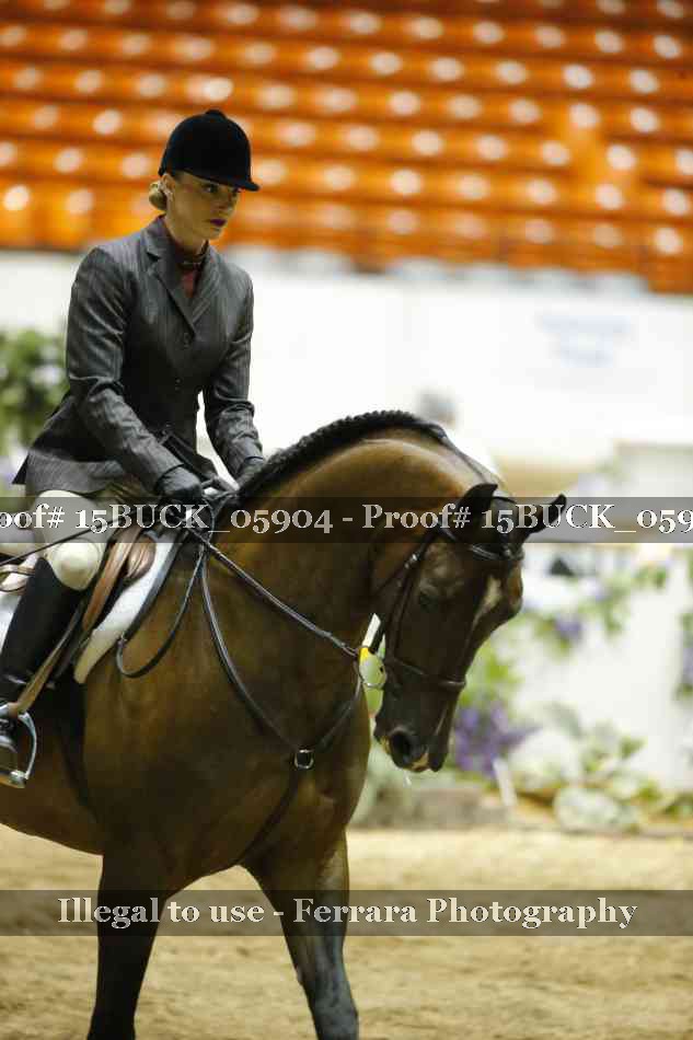 Proof 15BUCK_05904