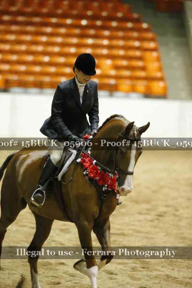 Proof 15BUCK_05906