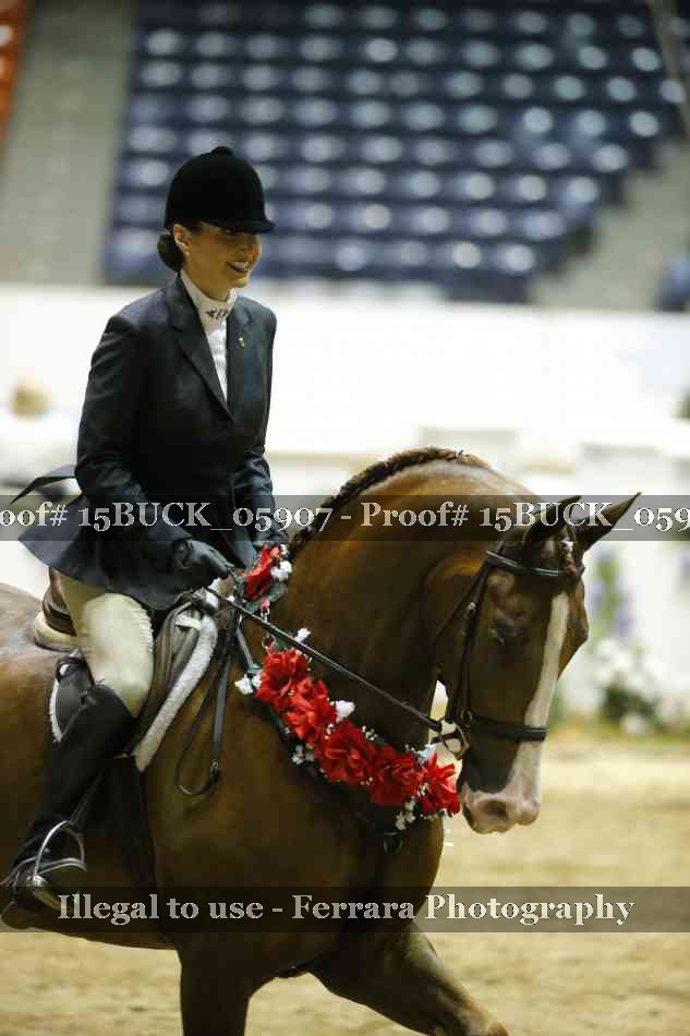 Proof 15BUCK_05907