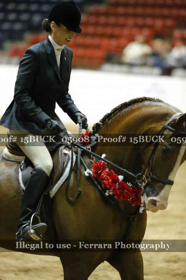 Proof 15BUCK_05908