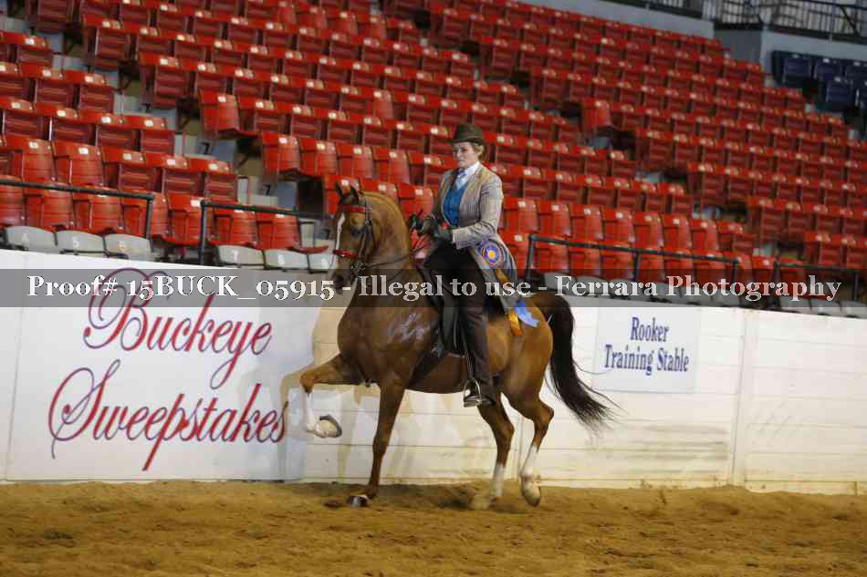 Proof 15BUCK_05915