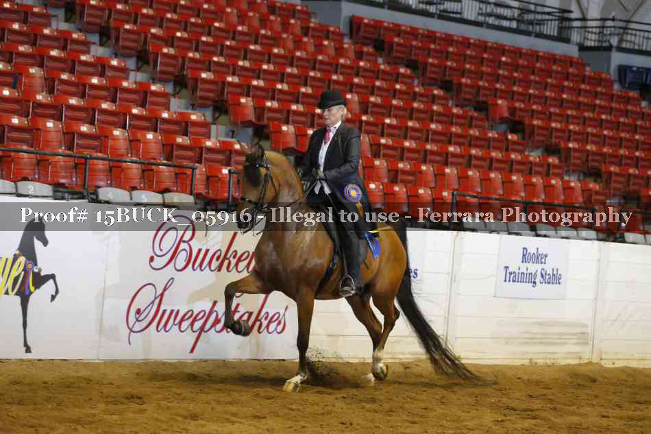 Proof 15BUCK_05916
