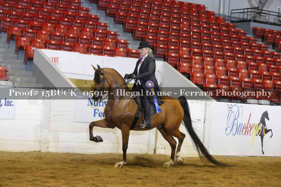 Proof 15BUCK_05917