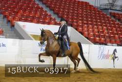 15BUCK_05917 proof