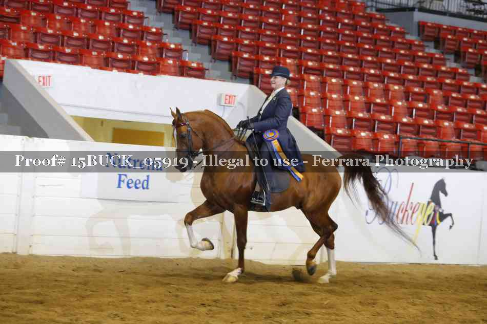 Proof 15BUCK_05919