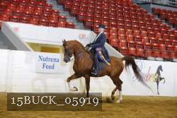 15BUCK_05919 proof
