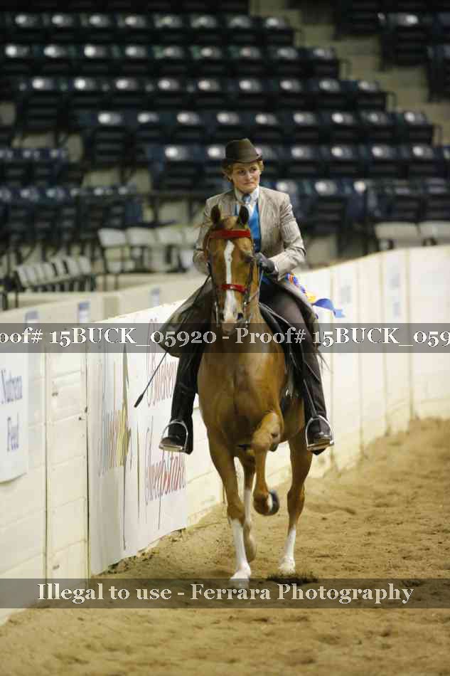 Proof 15BUCK_05920