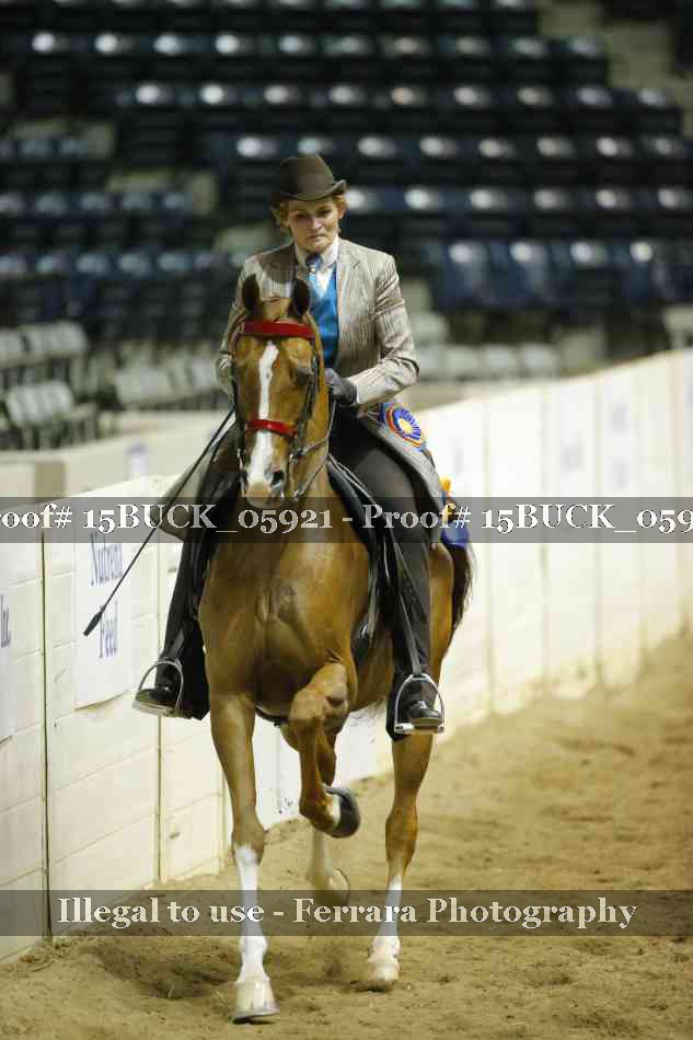 Proof 15BUCK_05921