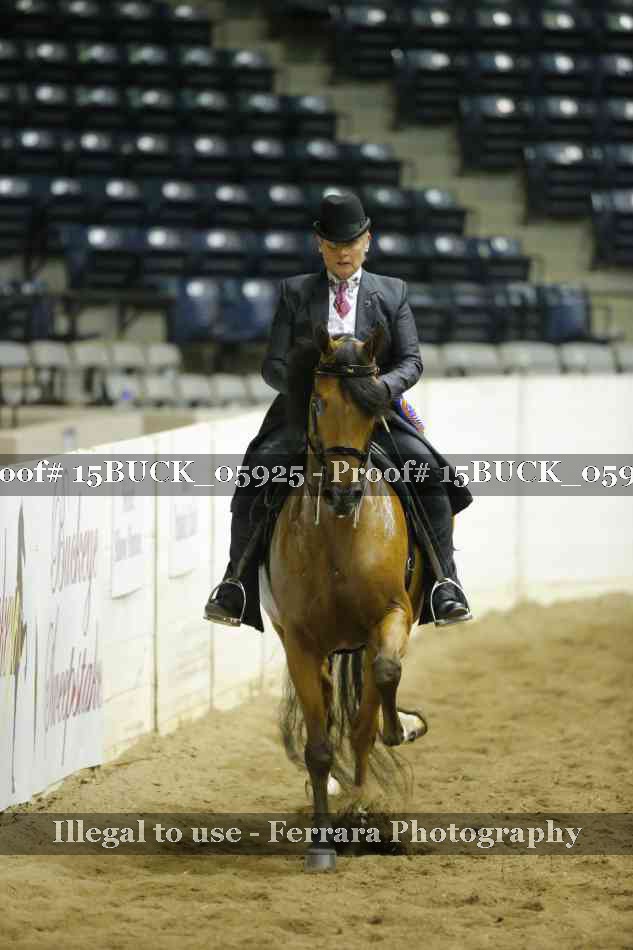 Proof 15BUCK_05925