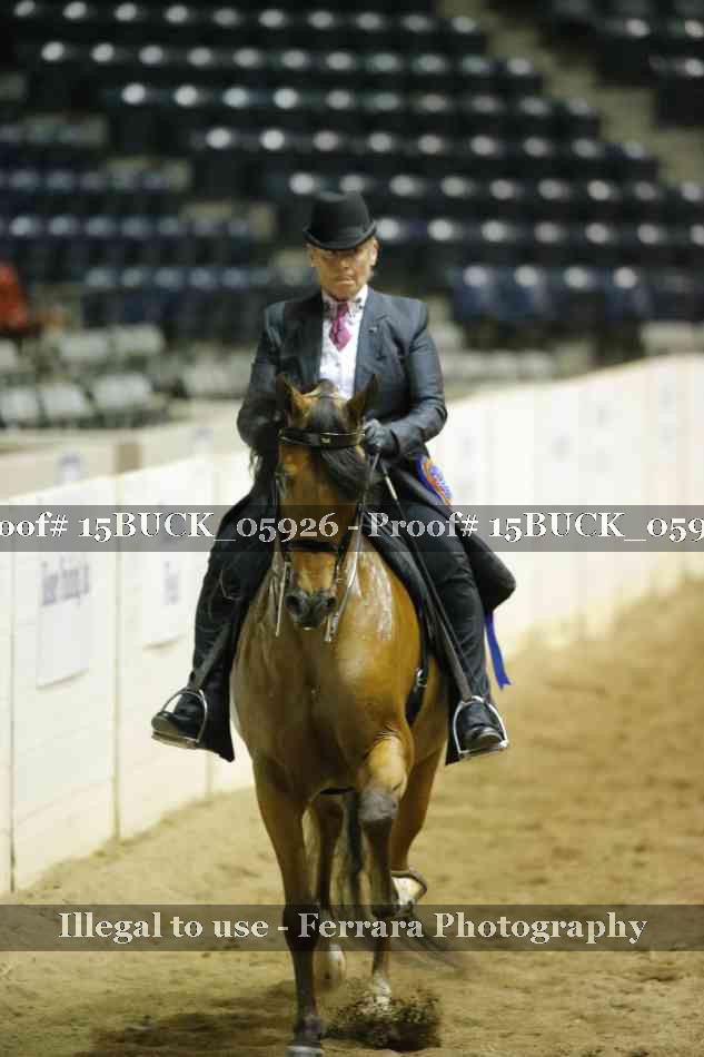 Proof 15BUCK_05926