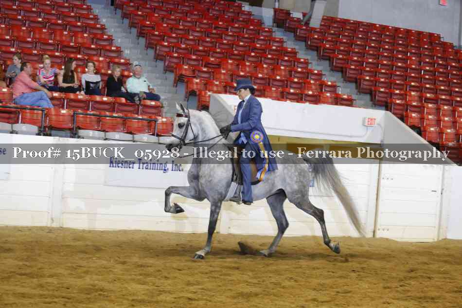 Proof 15BUCK_05928