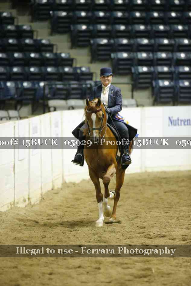 Proof 15BUCK_05929