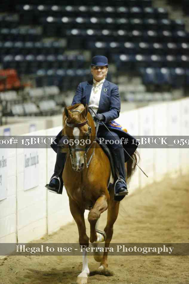 Proof 15BUCK_05930