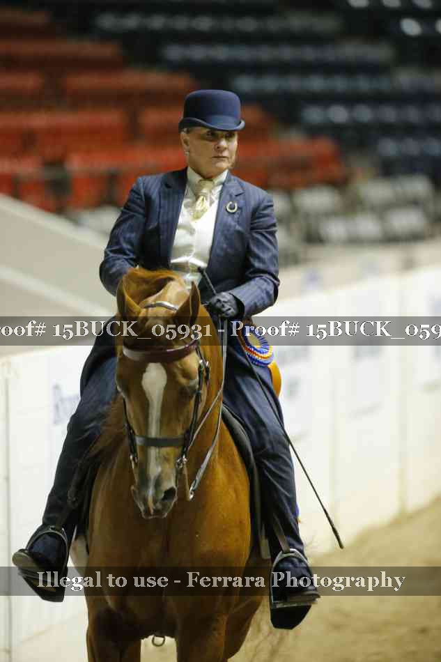 Proof 15BUCK_05931