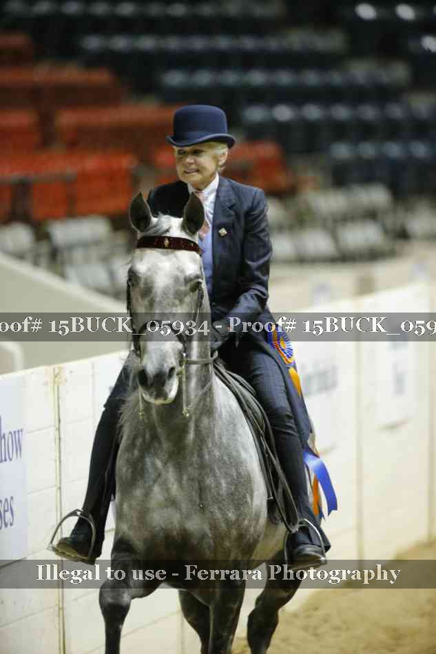 Proof 15BUCK_05934