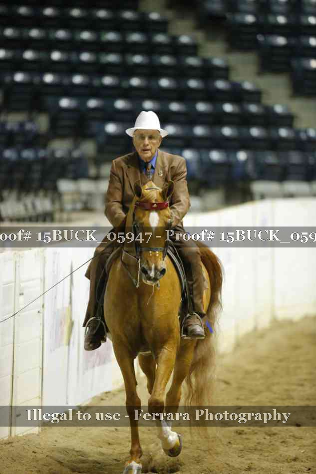 Proof 15BUCK_05947