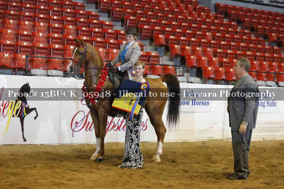 Proof 15BUCK_05948