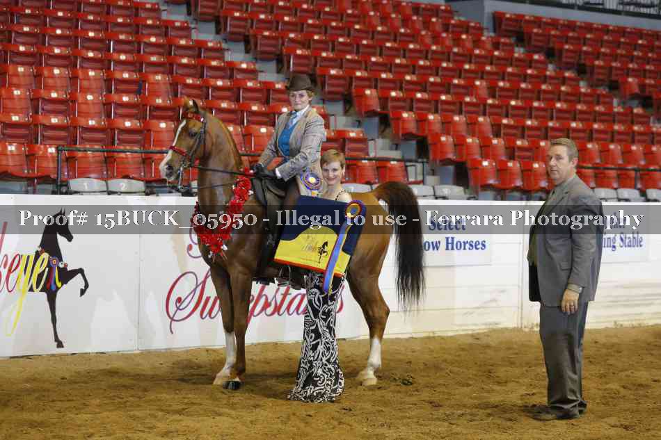 Proof 15BUCK_05950