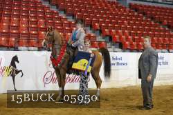 15BUCK_05950 proof