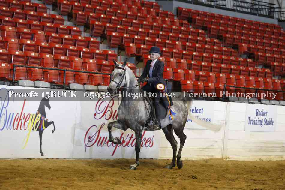 Proof 15BUCK_05952