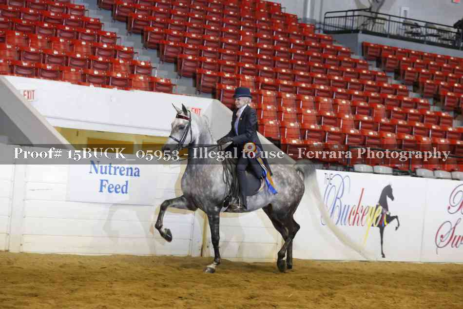 Proof 15BUCK_05953