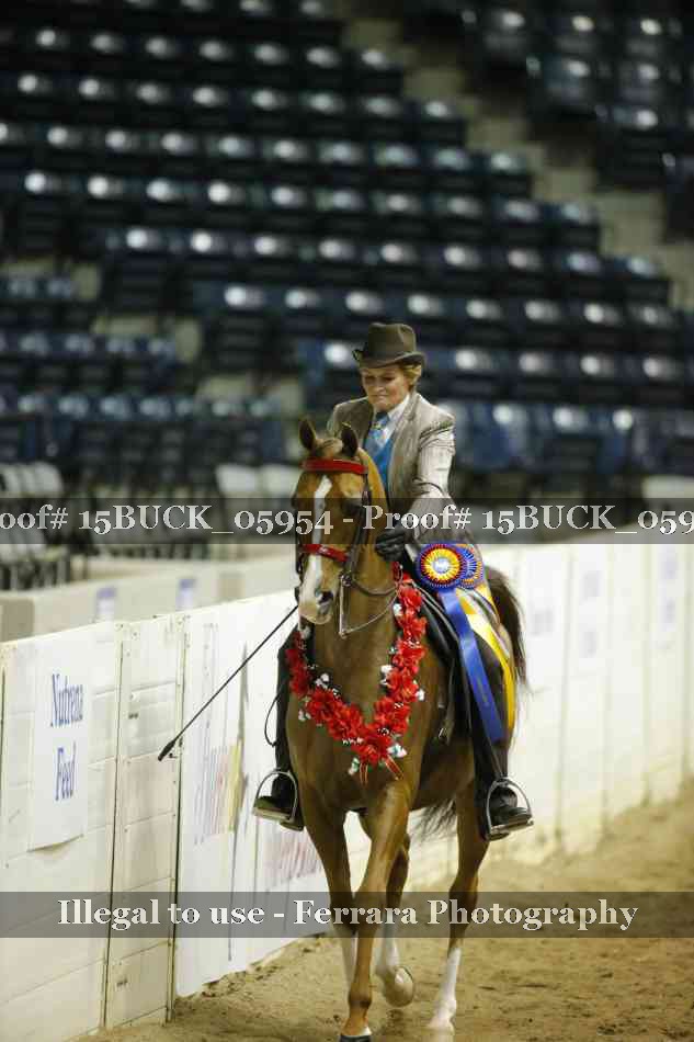Proof 15BUCK_05954
