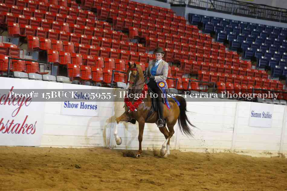 Proof 15BUCK_05955