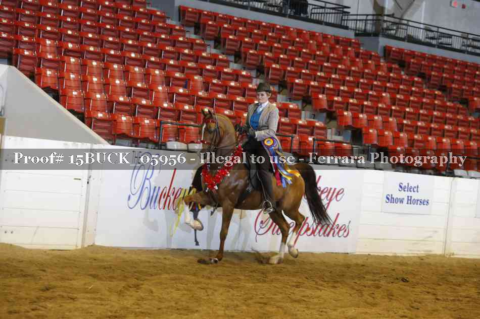 Proof 15BUCK_05956