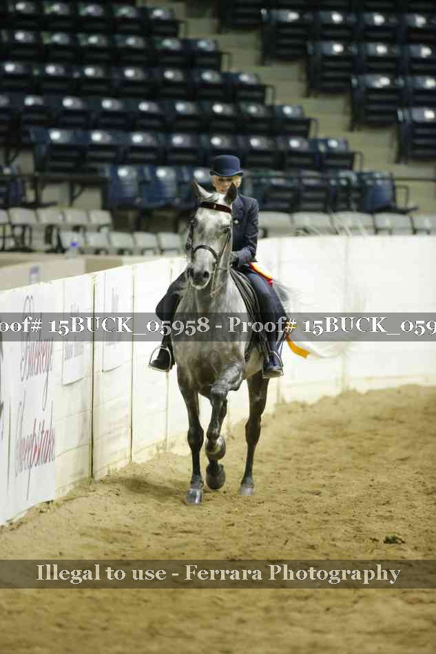 Proof 15BUCK_05958