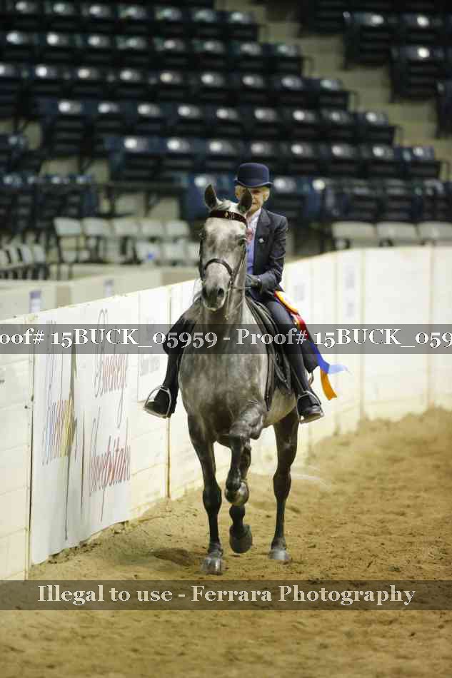 Proof 15BUCK_05959