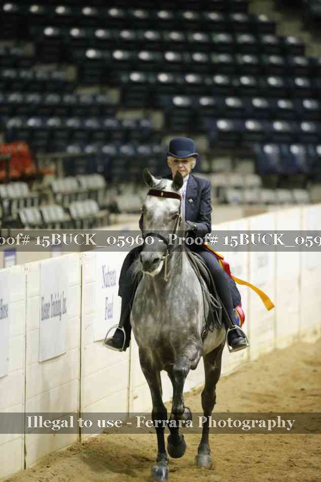 Proof 15BUCK_05960