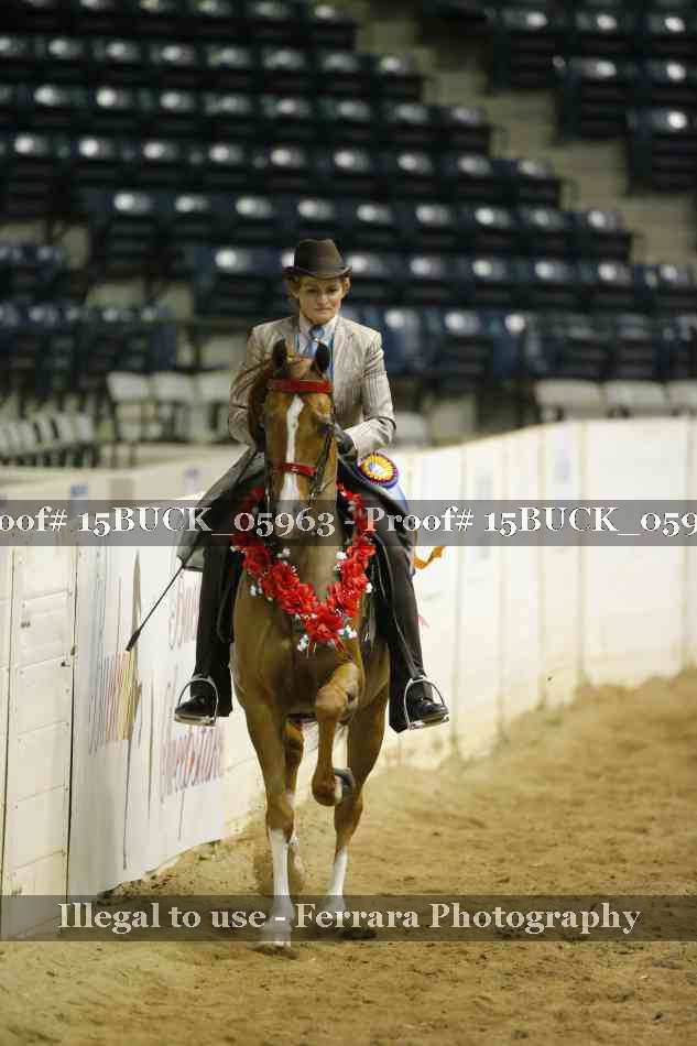 Proof 15BUCK_05963