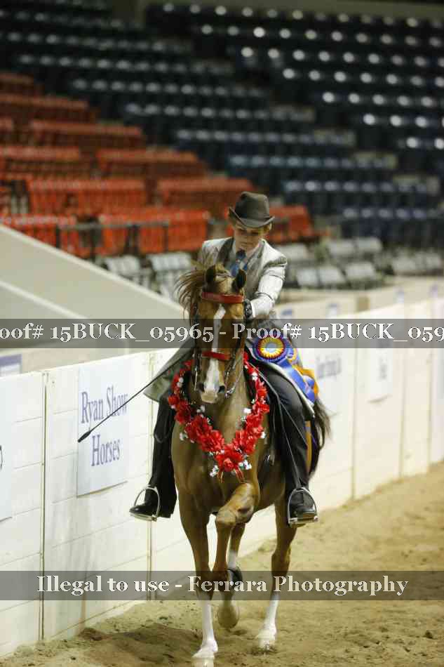 Proof 15BUCK_05965
