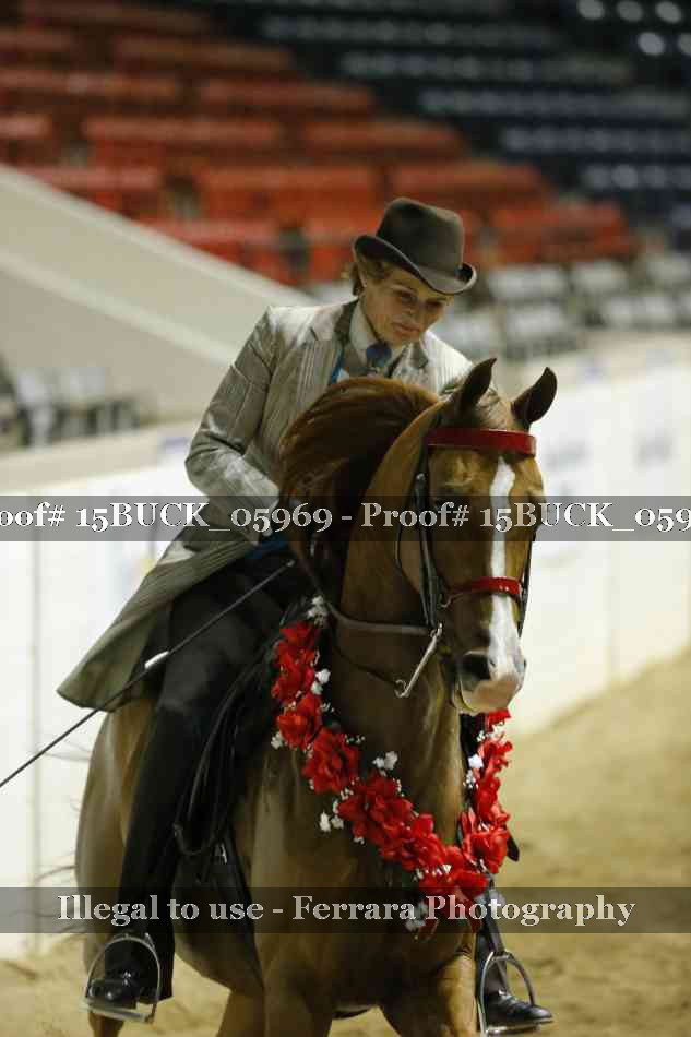 Proof 15BUCK_05969