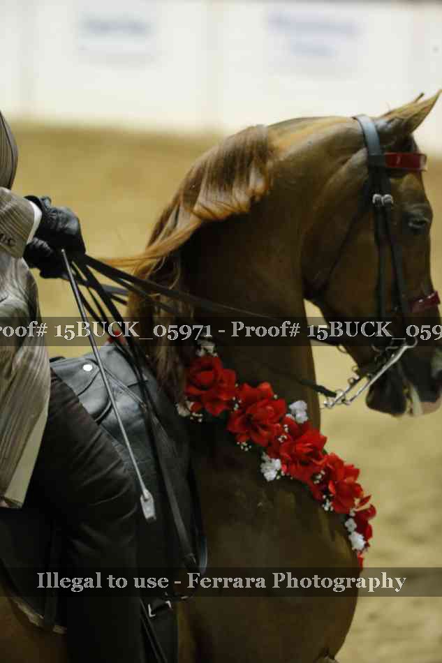 Proof 15BUCK_05971