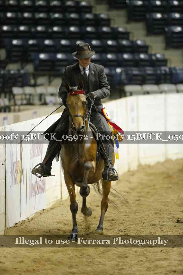 Proof 15BUCK_05972