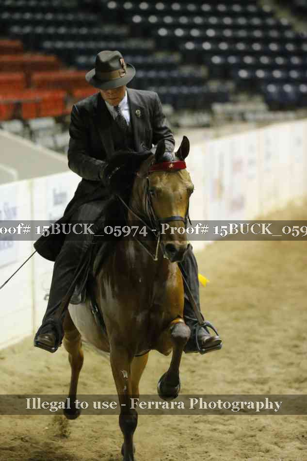 Proof 15BUCK_05974