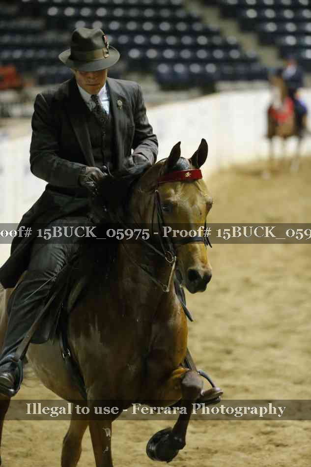 Proof 15BUCK_05975