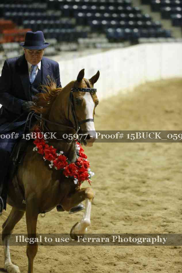 Proof 15BUCK_05977