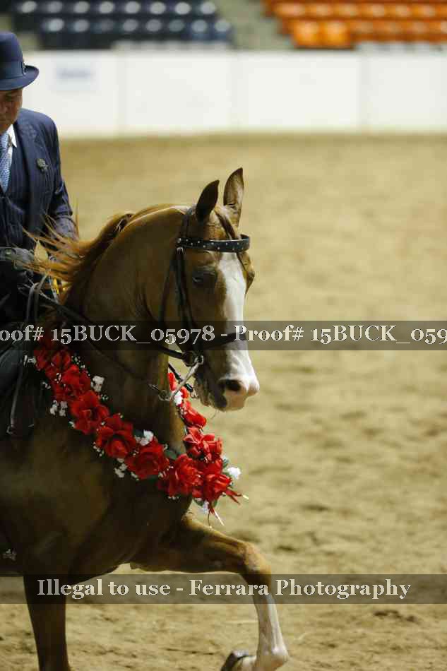 Proof 15BUCK_05978