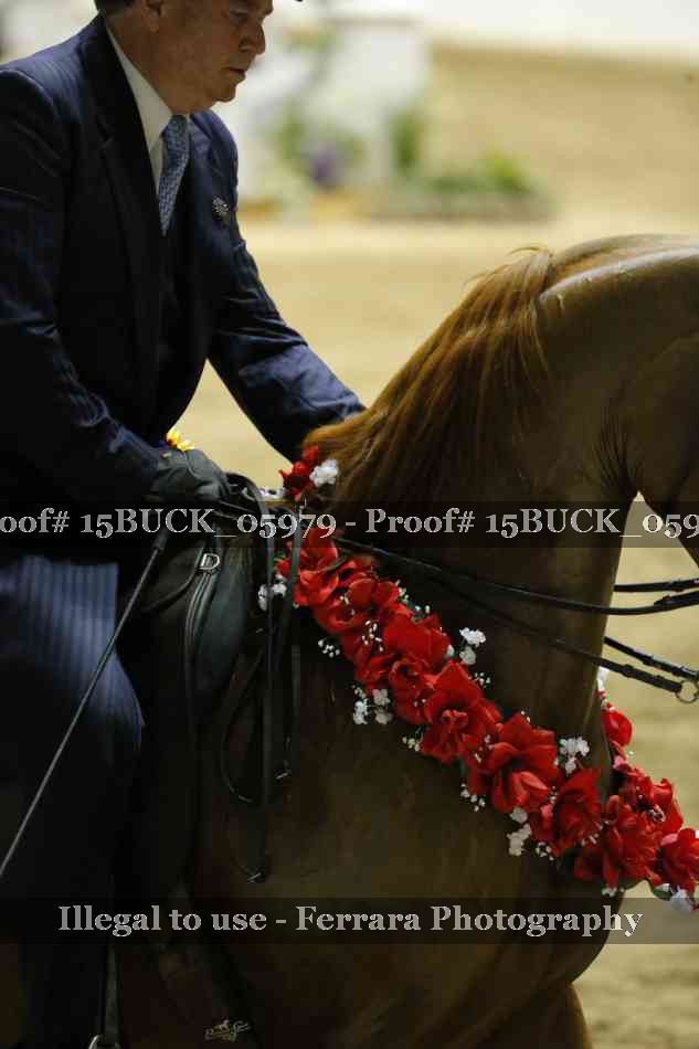 Proof 15BUCK_05979