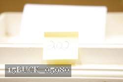 15BUCK_05980 proof