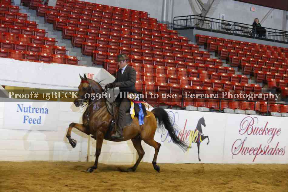 Proof 15BUCK_05981