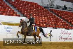 15BUCK_05981 proof