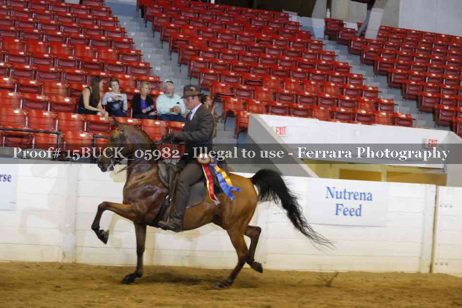 Proof 15BUCK_05982