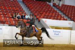 15BUCK_05982 proof